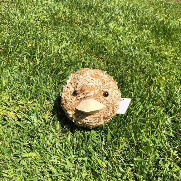 NWT Pier 1 Imports Decorative Natural Vase Filler - Picture 5 of 13